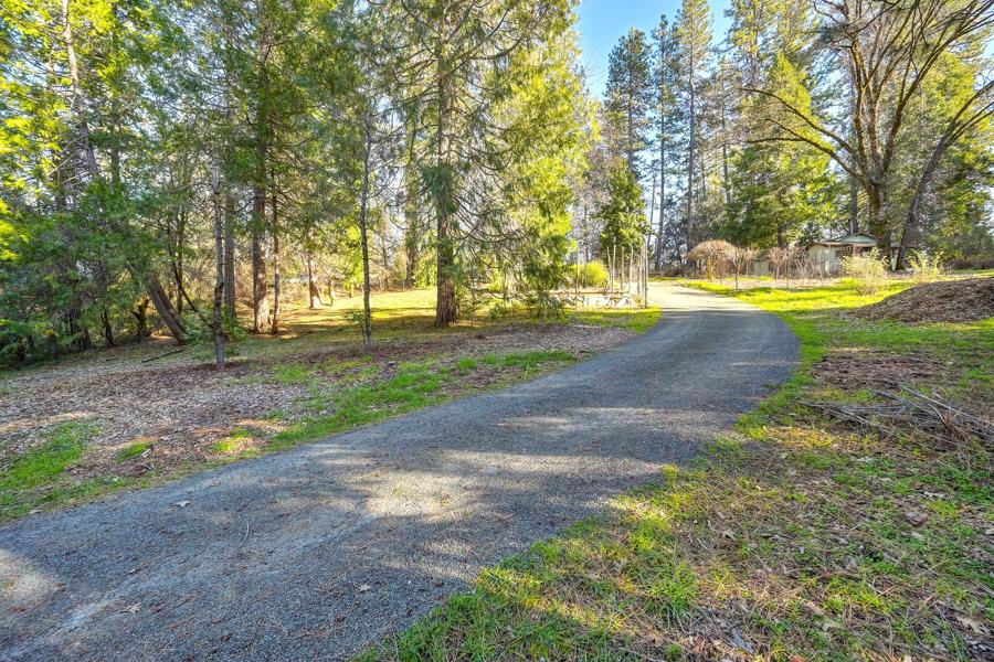 26070 Green Acres Road Colfax, CA 95713 - Photo 41 of 42