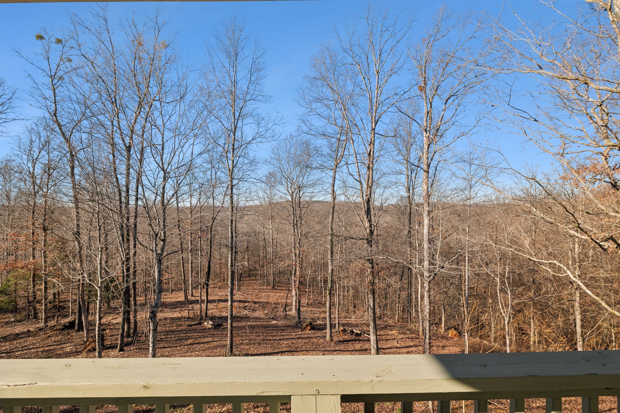 93 Halliburton Road Vanleer, TN 37181 - Photo 36 of 75 a view of a backyard