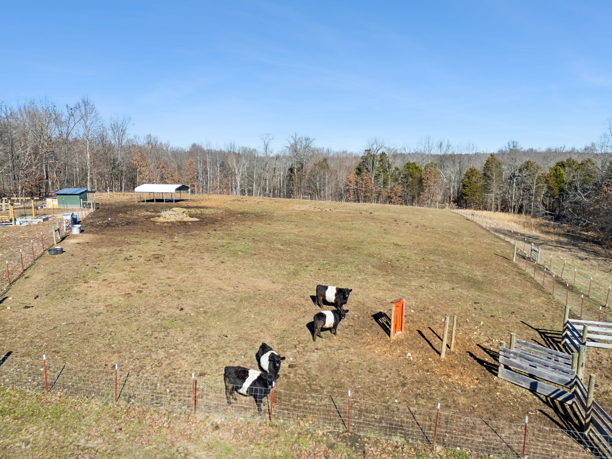 93 Halliburton Road Vanleer, TN 37181 - Photo 48 of 75 a view of a lake view