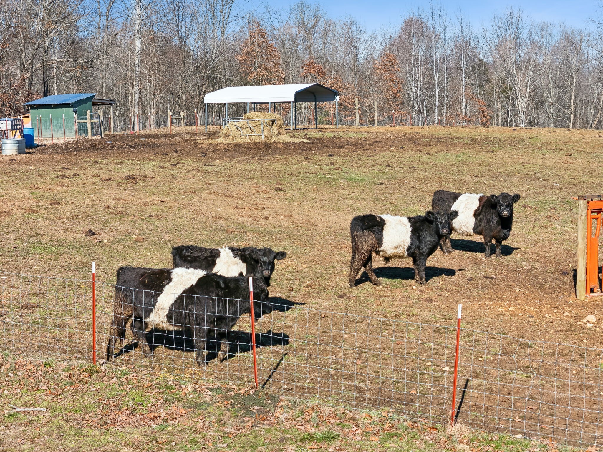 93 Halliburton Road Vanleer, TN 37181 - Photo 49 of 75 a bench sitting in the middle of a yard