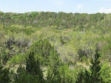 350 Bluff Road Spicewood, TX 78669 - Photo 6 of 22