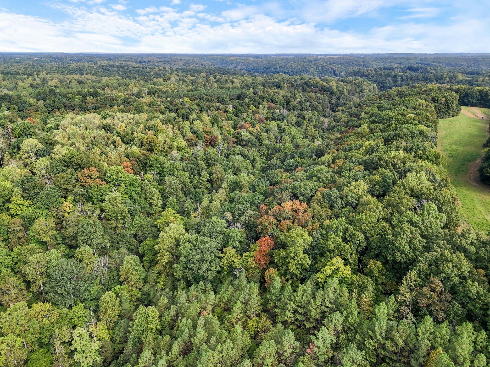 1344 Cut Off Road Ethridge, TN 38456 - Photo 12 of 19