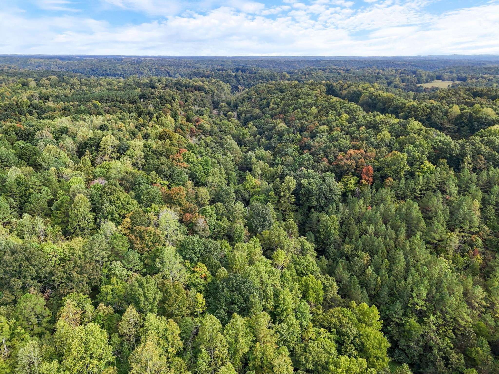 1344 Cut Off Road Ethridge, TN 38456 - Photo 13 of 19