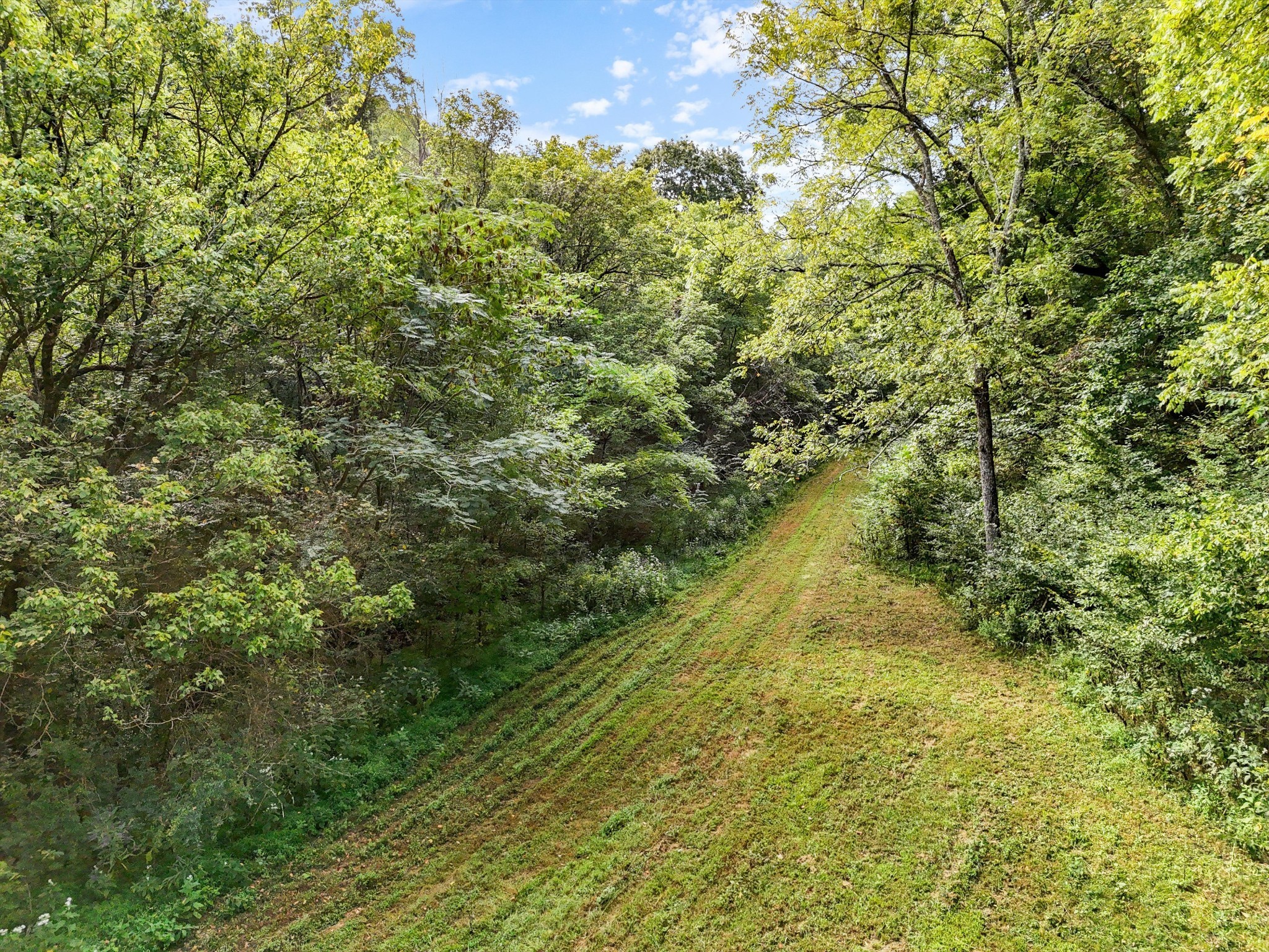 1344 Cut Off Road Ethridge, TN 38456 - Photo 15 of 19