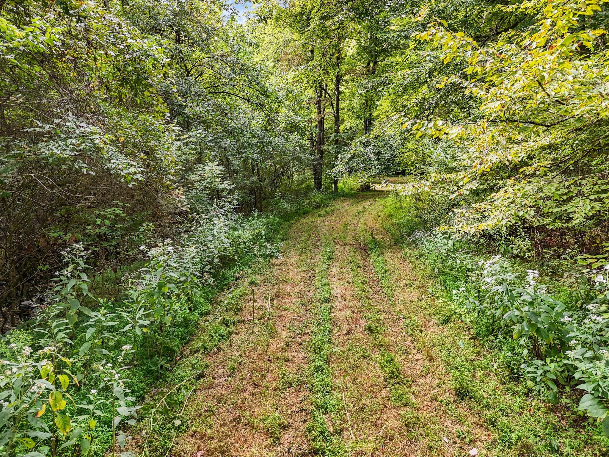 1344 Cut Off Road Ethridge, TN 38456 - Photo 16 of 19