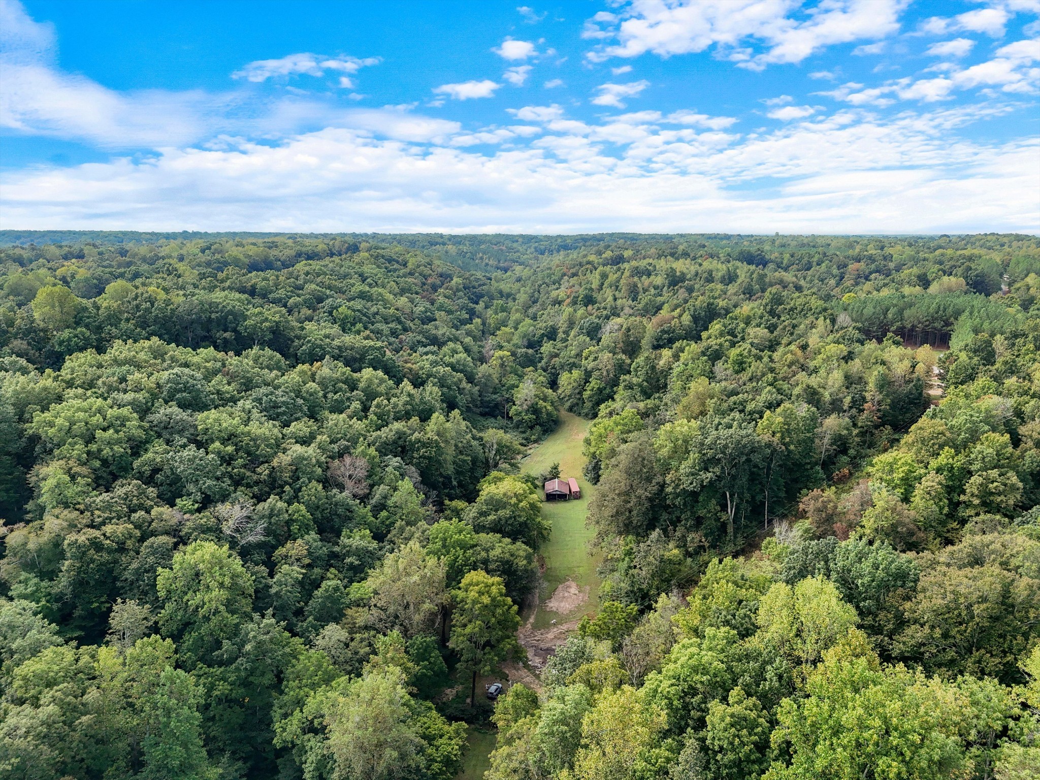 1344 Cut Off Road Ethridge, TN 38456 - Photo 4 of 19