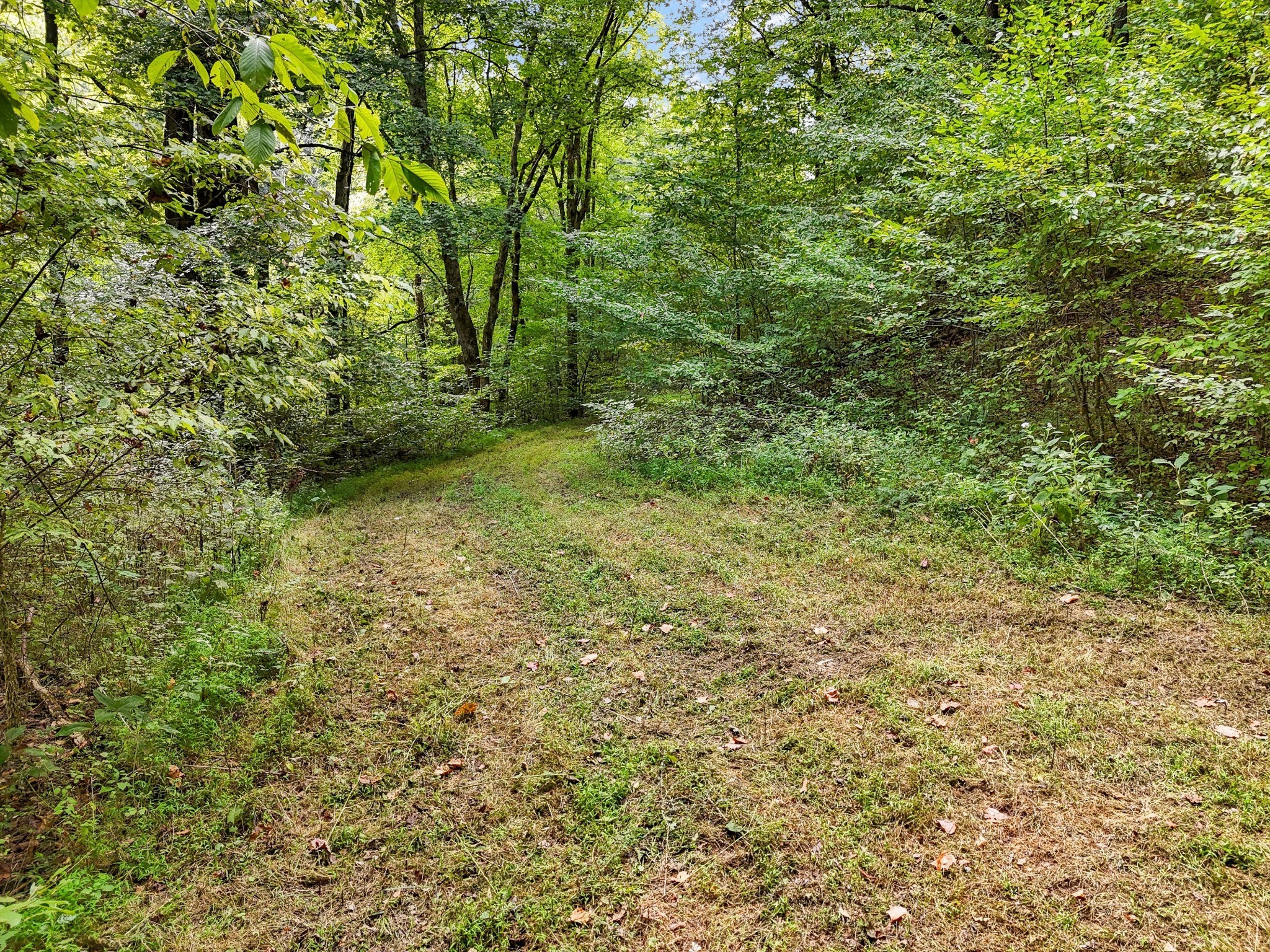 1344 Cut Off Road Ethridge, TN 38456 - Photo 6 of 19