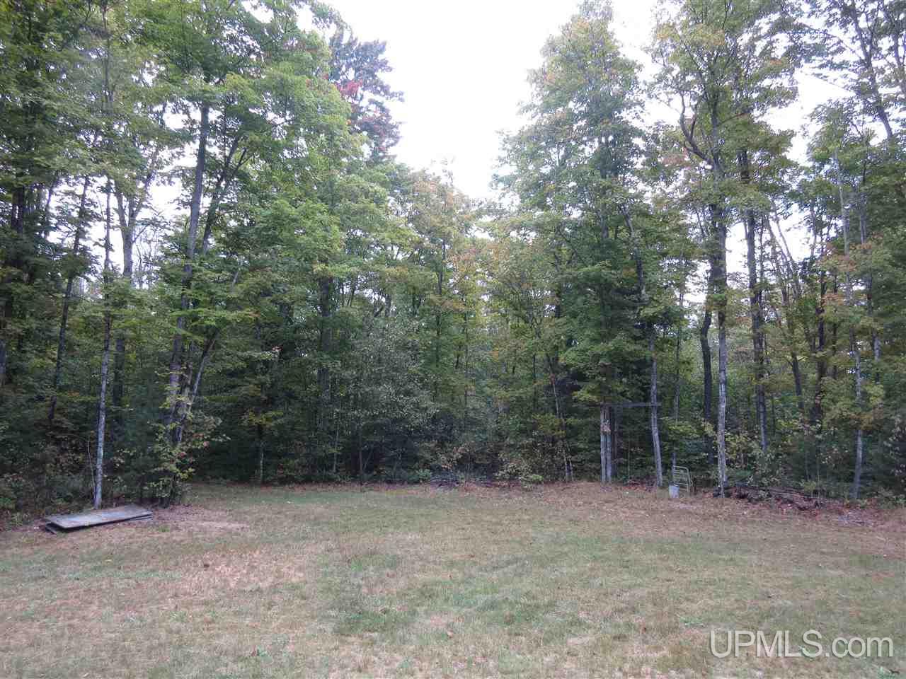 6736 North Co Road Manistique, MI 49854 - Photo 7 of 27