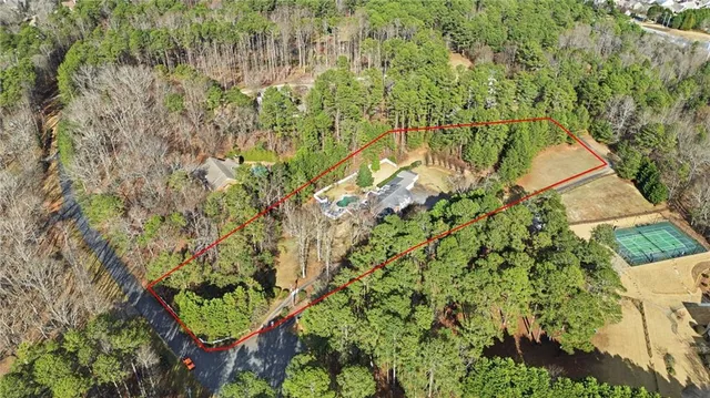 a view of a yard with plants