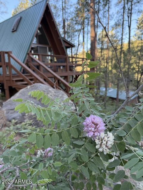 7345 Crown King Road Crown King, AZ 86343 - Photo 25 of 34 IMG_1704