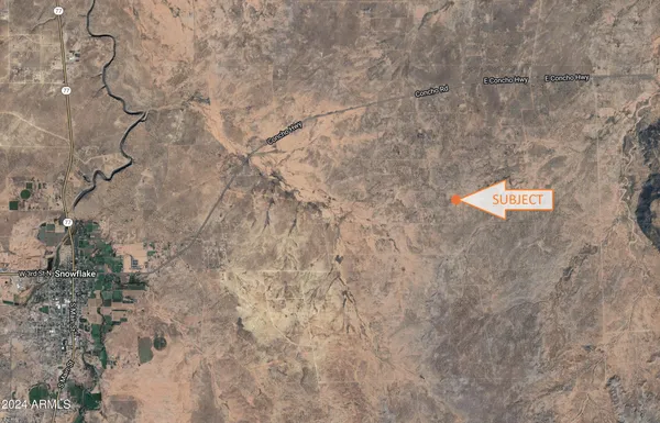 a balcony with a tree