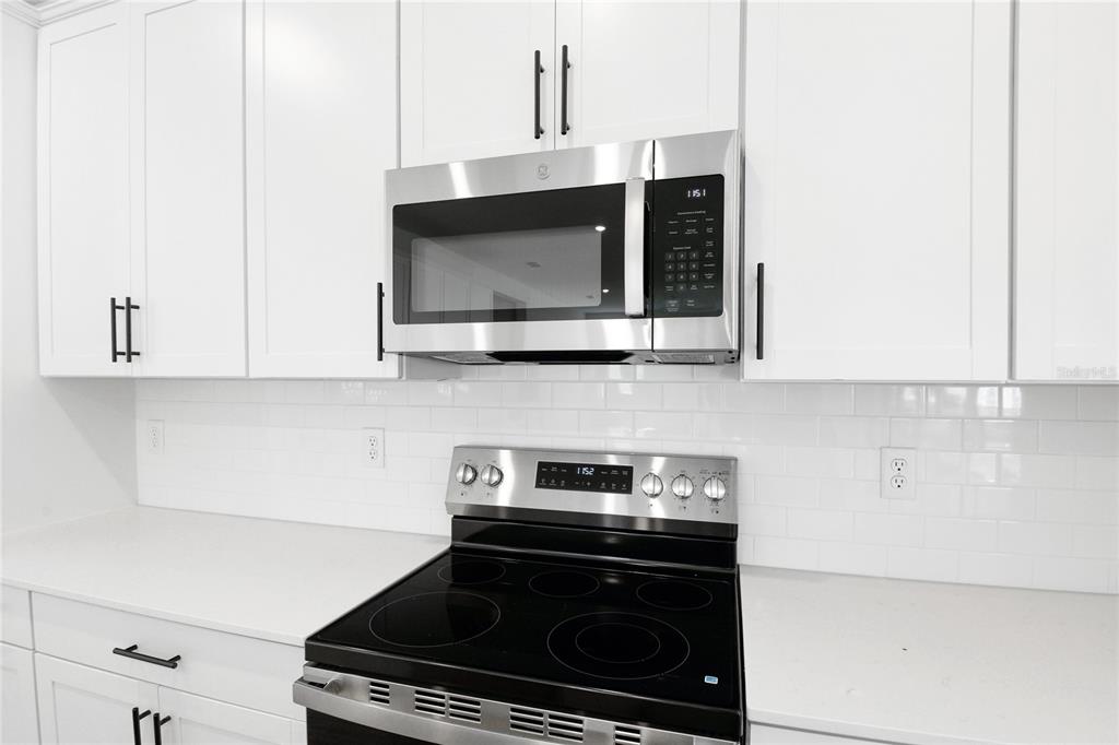 3765 Deer Rdg Drive Mount Dora, FL 32757 - Photo 6 of 24