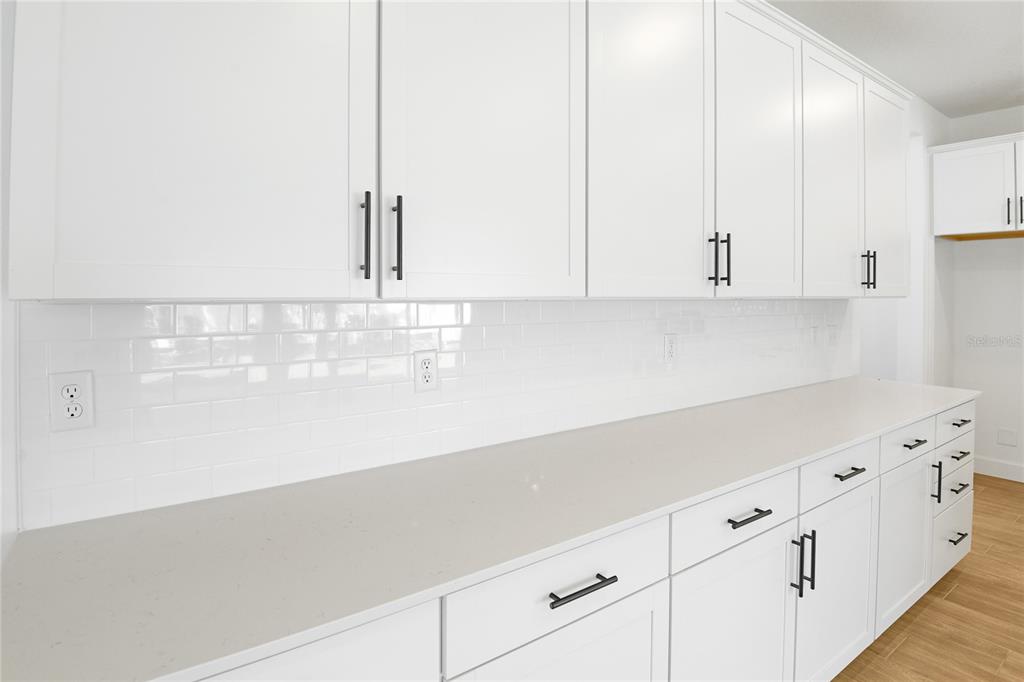 3765 Deer Rdg Drive Mount Dora, FL 32757 - Photo 7 of 24