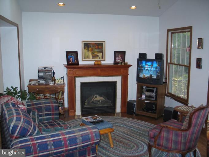 1007 Loxford Terrace Silver Spring, MD 20901 - Photo 15 of 15 a living room with furniture and a fireplace
