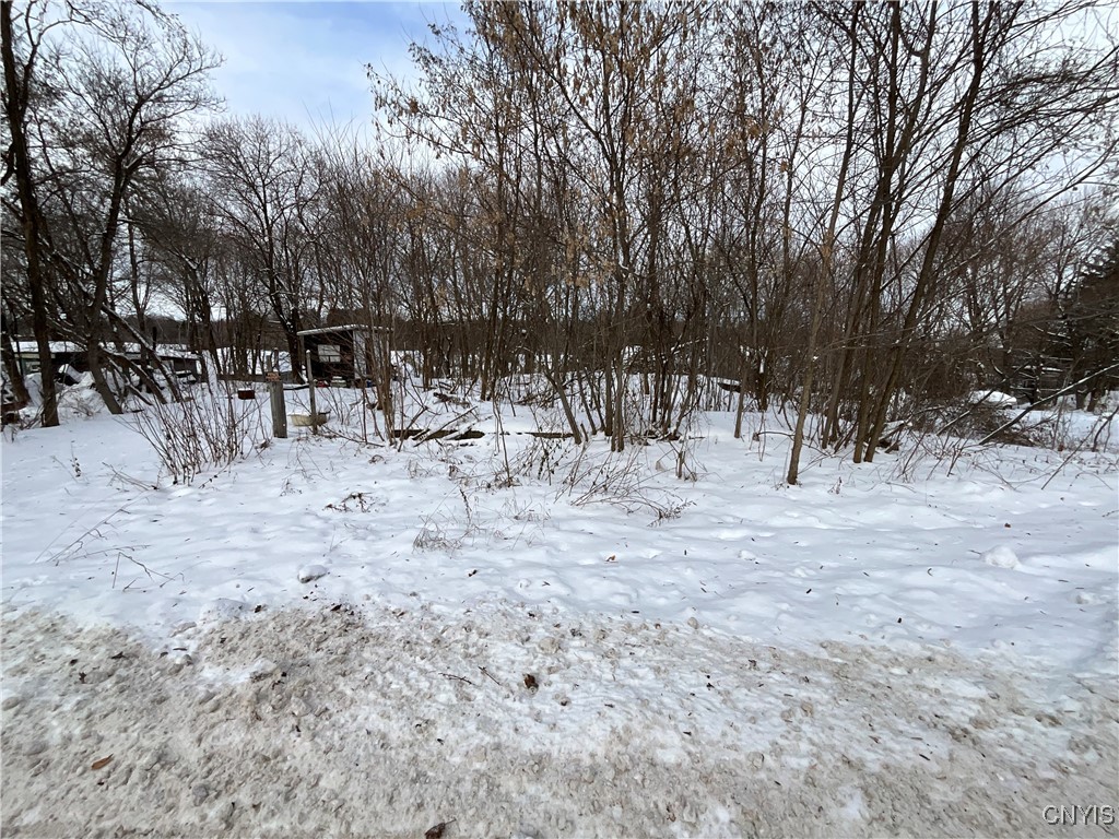 17 Maple Avenue Antwerp, NY 13608 - Photo 3 of 7