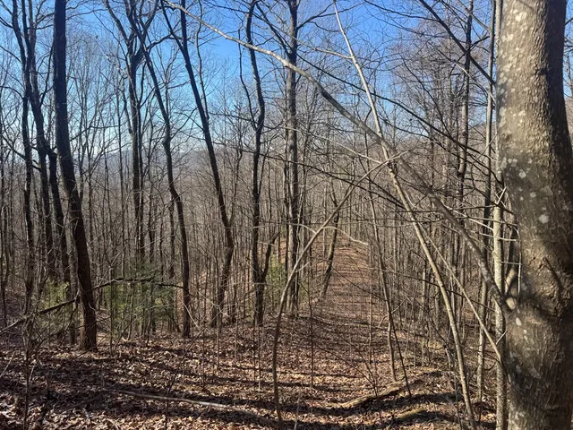 a backyard of a house
