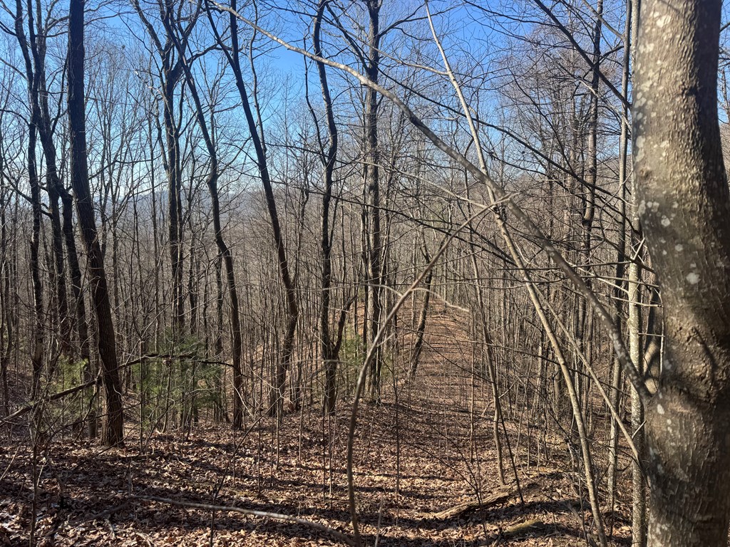 17 Oak Ridge Estates Murphy, NC 28906 - Photo 2 of 10 a backyard of a house
