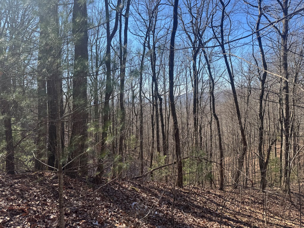 17 Oak Ridge Estates Murphy, NC 28906 - Photo 4 of 10 a view of a backyard