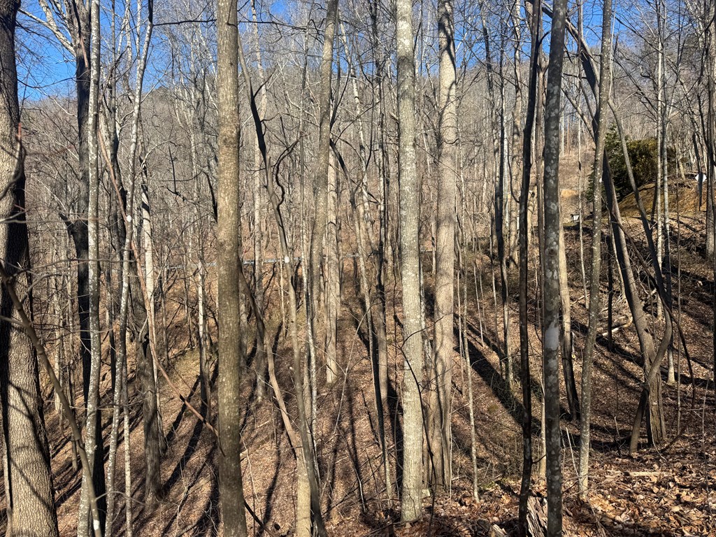 17 Oak Ridge Estates Murphy, NC 28906 - Photo 5 of 10