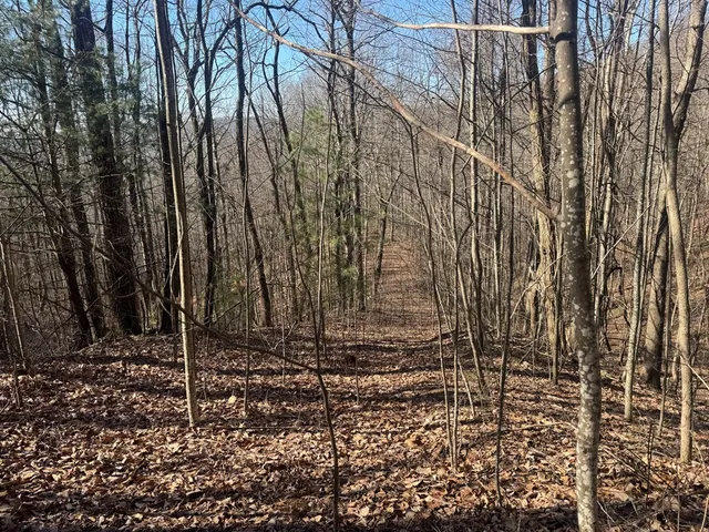a view of covered with trees