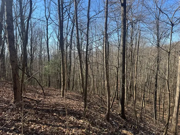 $39,000 | 17 Oak Ridge Estates, Murphy, NC 28906