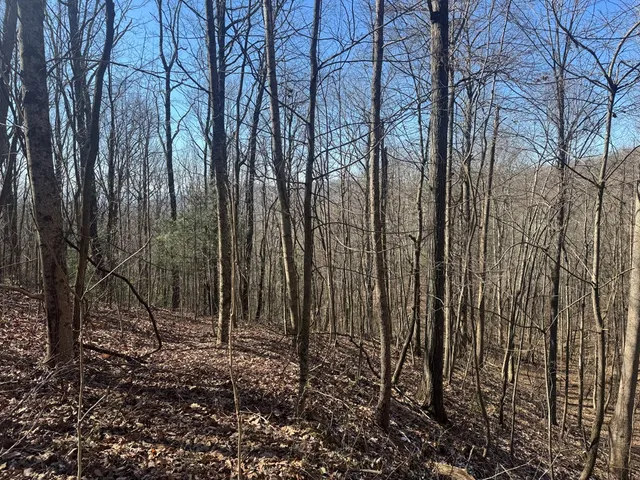 $39,000 | 17 Oak Ridge Estates, Murphy, NC 28906