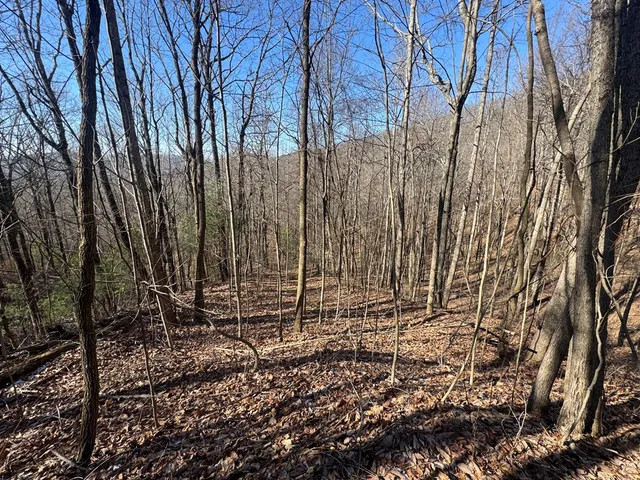 $39,000 | 17 Oak Ridge Estates, Murphy, NC 28906