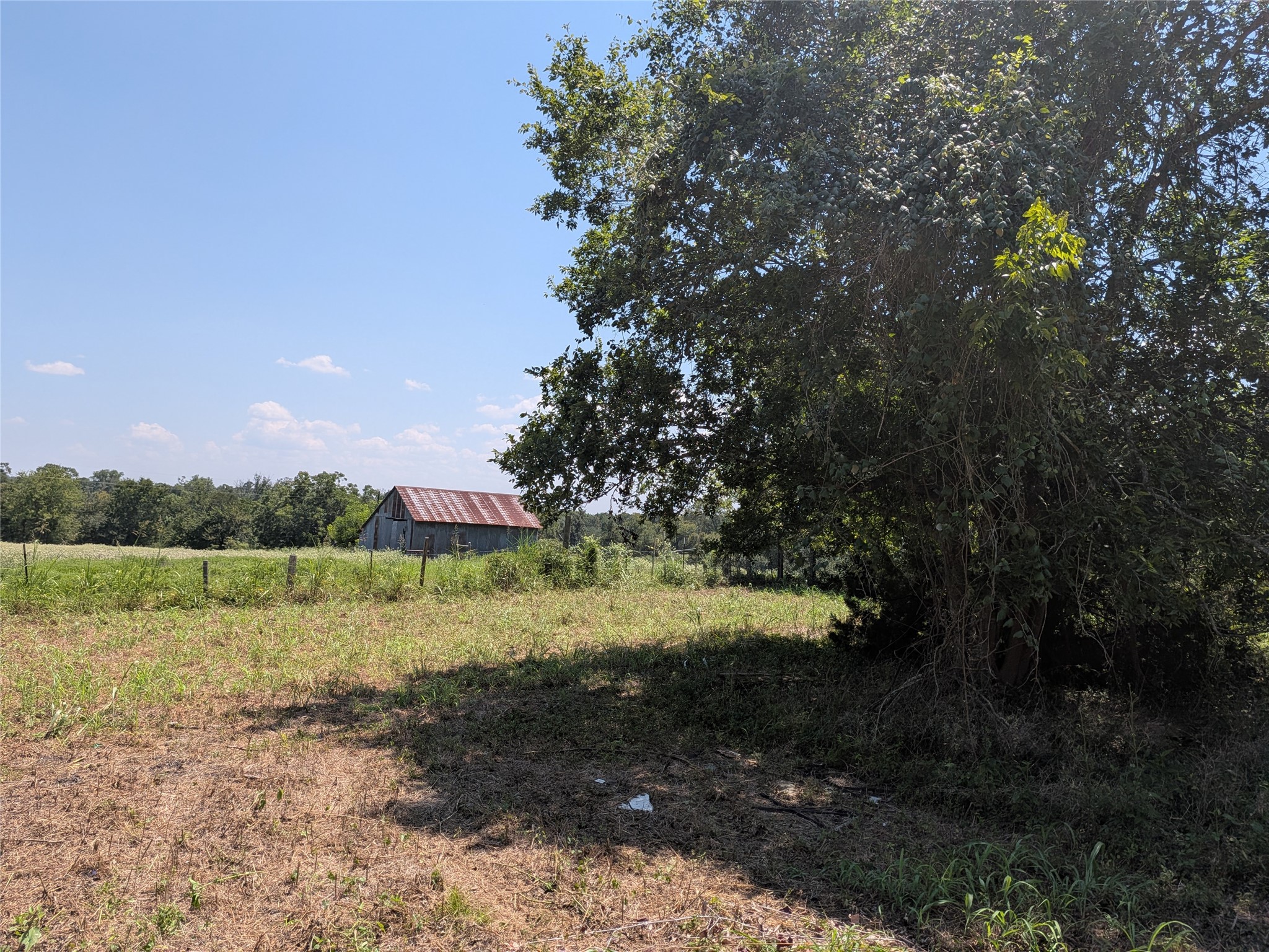 18320 Sweed Road Washington, TX 77880 - Photo 9 of 11 View at back of property toward valley.