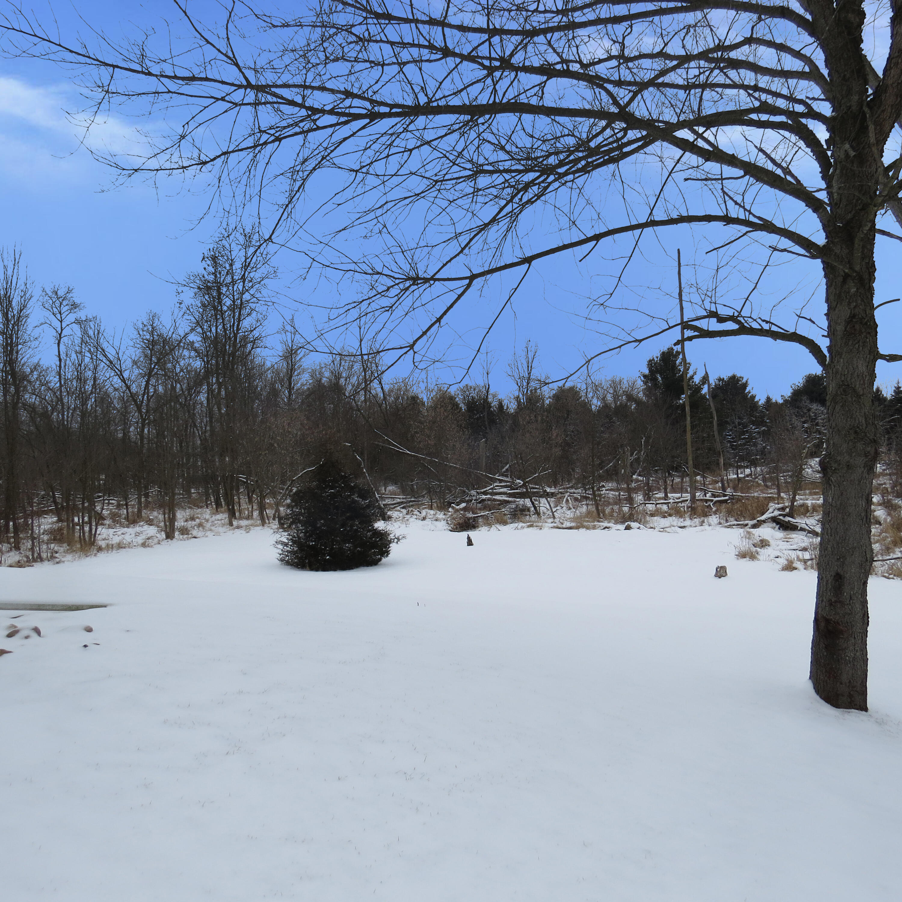 3481 Jefferson Road Ionia, MI 48846 - Photo 9 of 34 IMG_9980