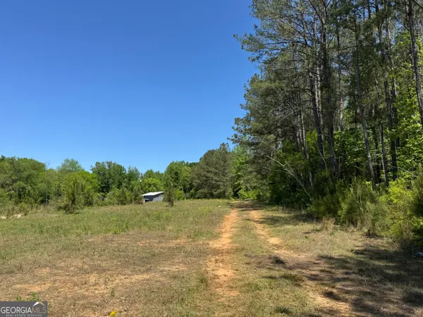 $125,000 | N/a Satterwhite Street, Roanoke, AL 36274