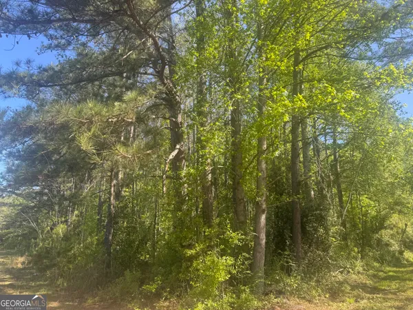 a view of a small yard