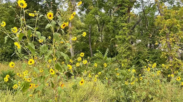 $513,360 | 22312 West 76th Street, Shawnee, KS 66227