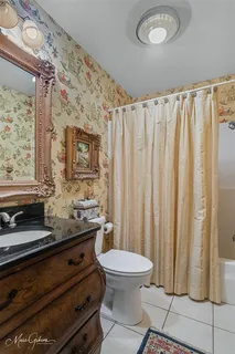 a bathroom with a sink a toilet and shower curtain