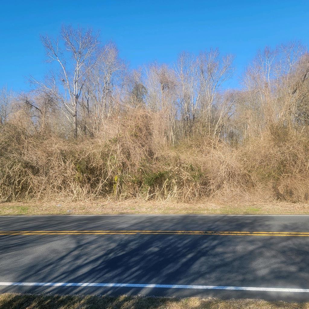 Lots Chincoteague Road New Church, VA 23415 - Photo 1 of 3