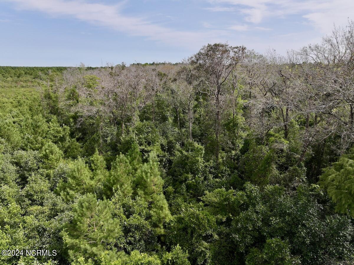 0 Davis Road Jacksonville, NC 28540 - Photo 23 of 35 22