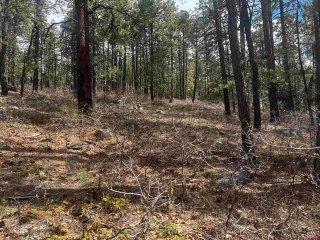 a view of outdoor space with trees
