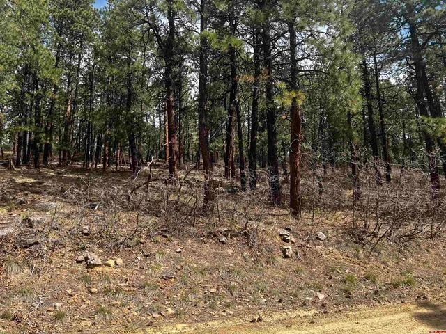 a view of outdoor space with trees