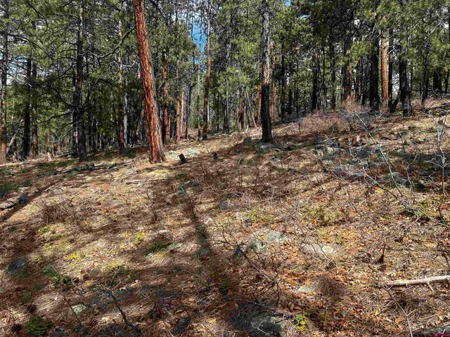 a view of outdoor space with trees