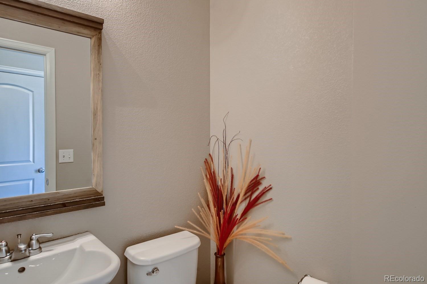 3495 Amber Sun Circle Castle Rock, CO 80108 - Photo 9 of 31