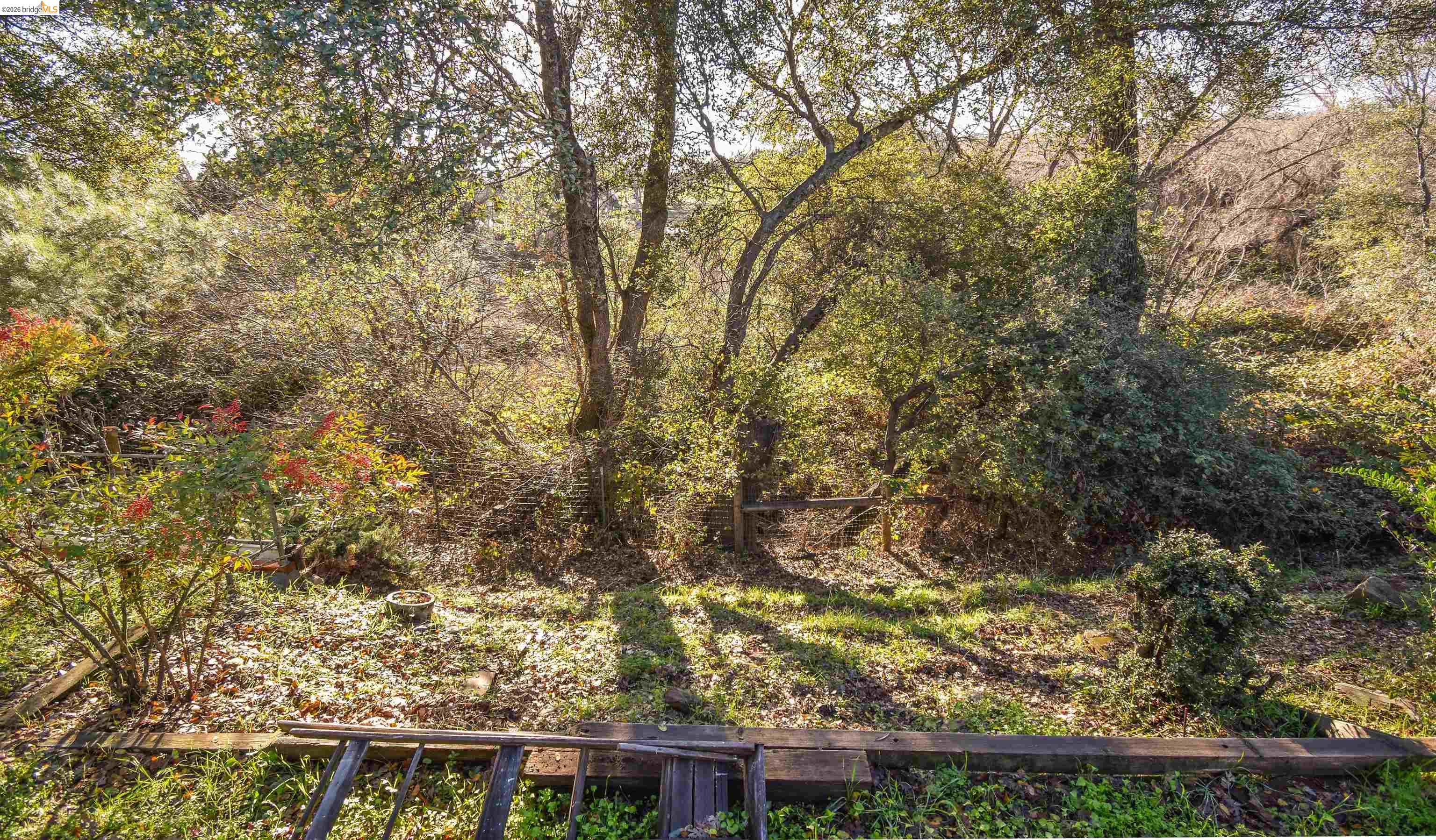 18330 Wards Ferry, Unit 32 Sonora, CA 95370 - Photo 6 of 36 View of tree filled area