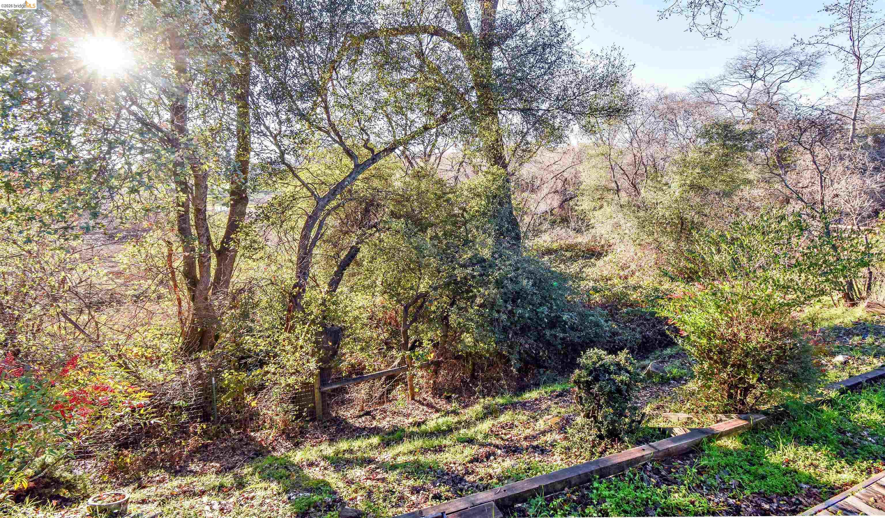 18330 Wards Ferry, Unit 32 Sonora, CA 95370 - Photo 7 of 36 View of yard featuring a forest view