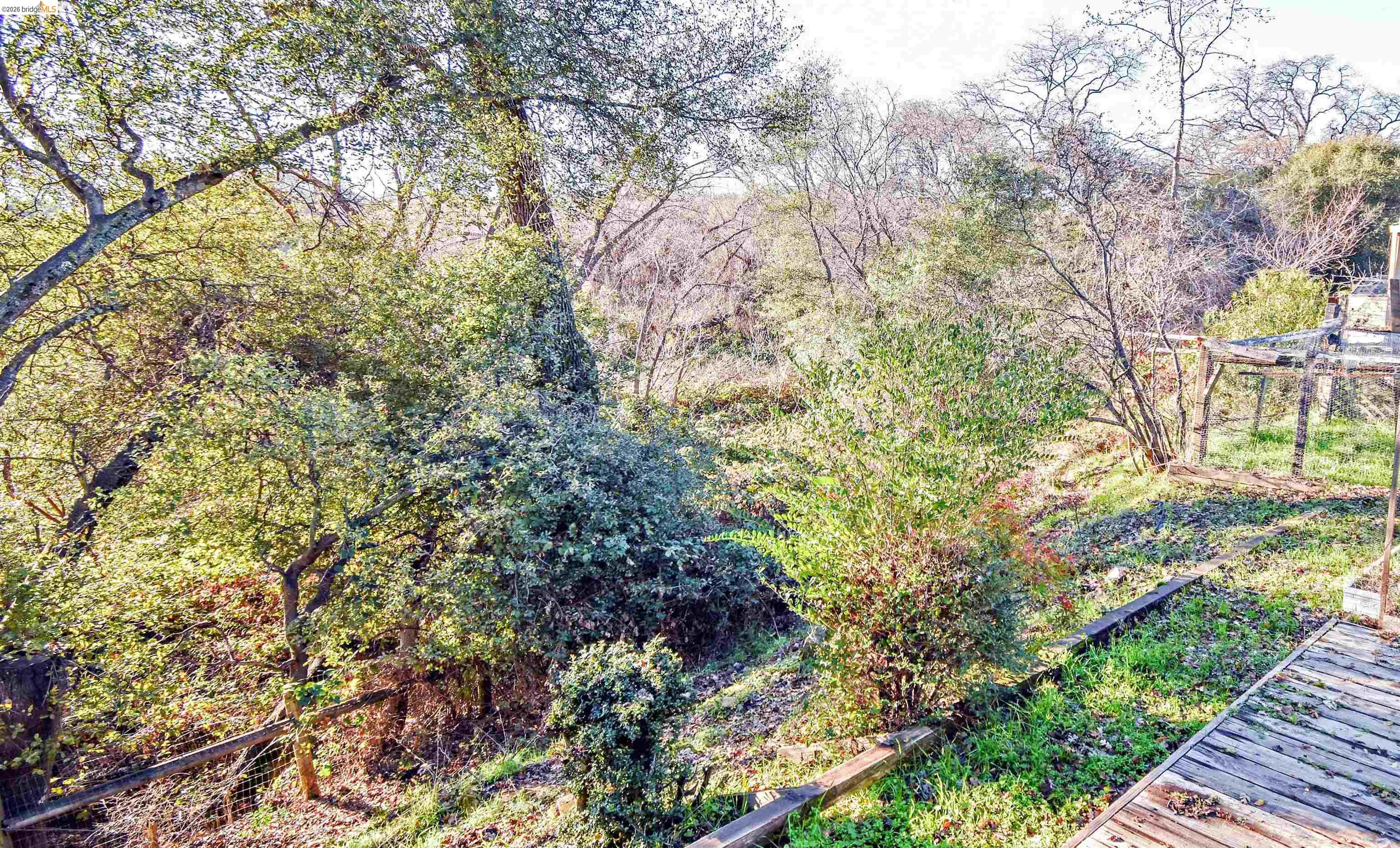 18330 Wards Ferry, Unit 32 Sonora, CA 95370 - Photo 8 of 36 View of yard featuring a forest view