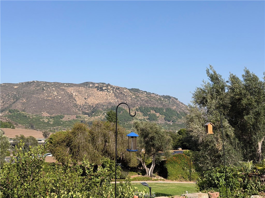 3252 Vía Altamira Fallbrook, CA 92028 - Photo 34 of 48 Views from the Backyard