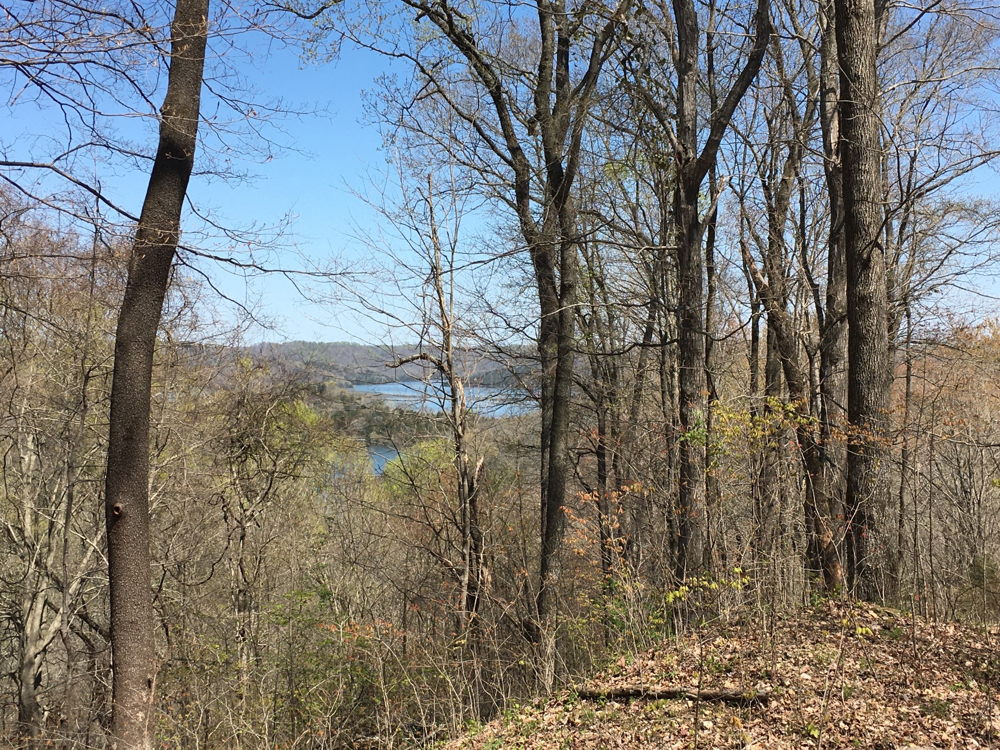 0 Rutherford Lane Smithville, TN 37166 - Photo 1 of 13 Gallery Image 1