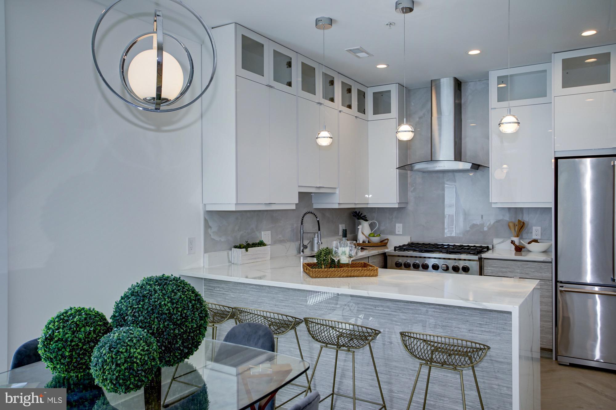 2429 Ontario Road Northwest, Unit 6 Washington, DC 20009 - Photo 10 of 29 Gorgeous kitchen with viking & Fisher Paykal