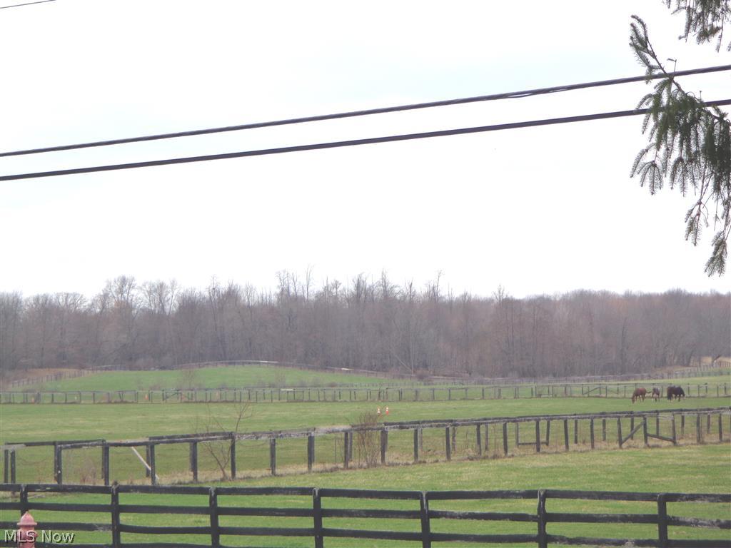 8081 Diagonal Road Streetsboro, OH 44241 - Photo 24 of 24 This is the view...as you drive away!