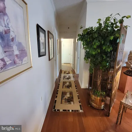a room with lots of potted plants