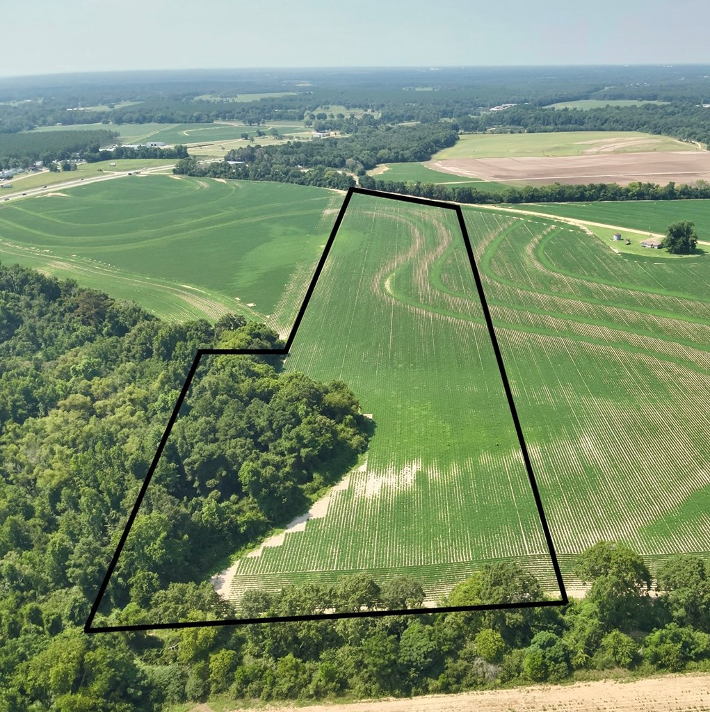 18.33-acres Burdeshaw Road Headland, AL 36345 - Photo 12 of 12