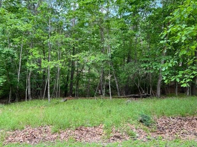 10 Castaway Lane Coldspring, TX 77331 - Photo 2 of 7