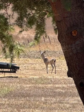 $1,775,000 | 275 Nicholson Drive, Hollister, CA 95023